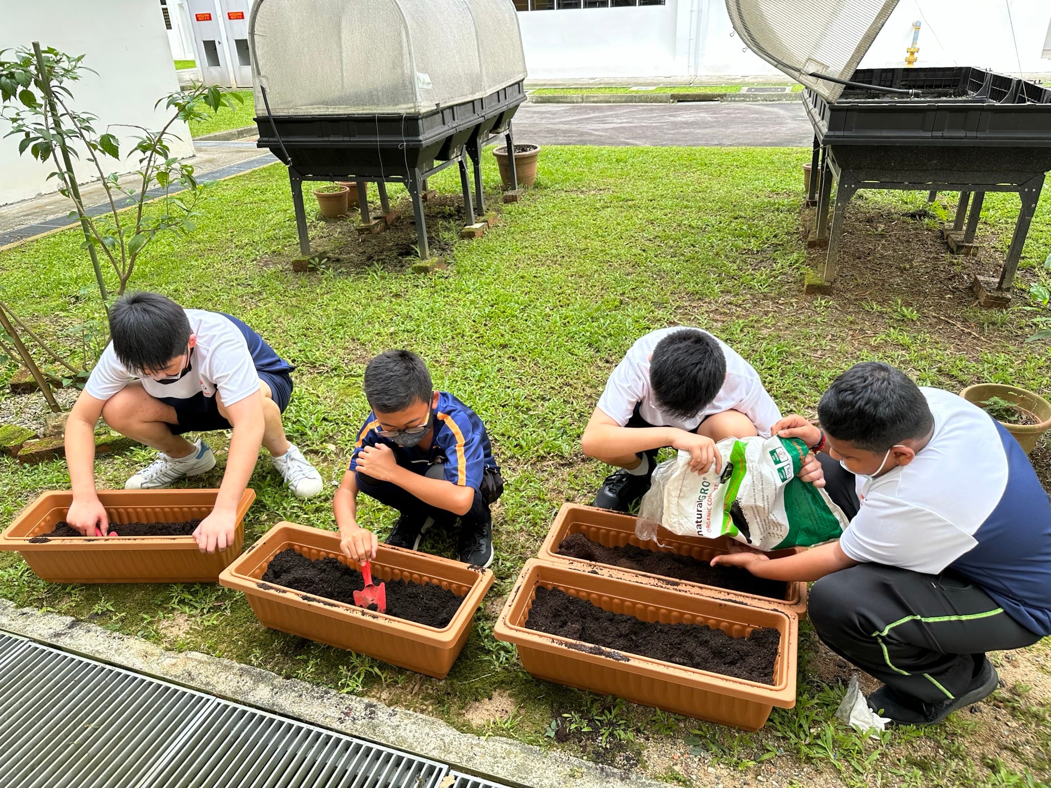 Four masked boys crouch outdoors, filling brown rectangular planters with soil using small trowels and a bag of compost.